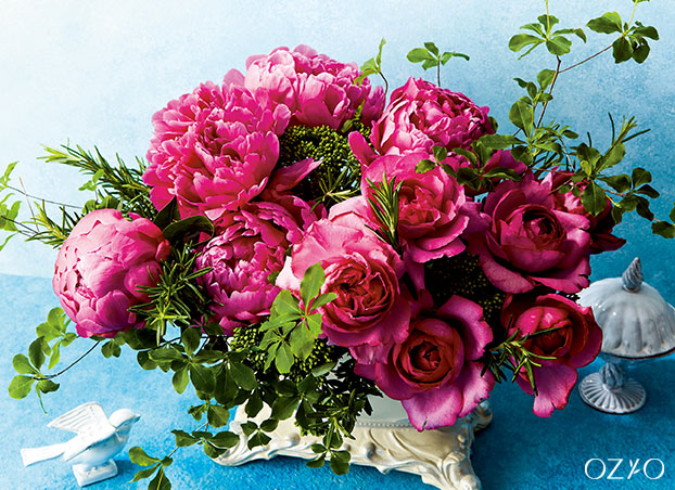 薔薇の壁紙 化粧品 スキンケア通販 オージオ Ozio