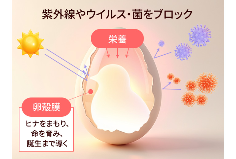 紫外線やウイルス・菌をブロック