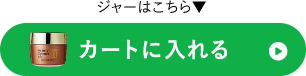 カートに入れる