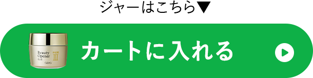 カートに入れる