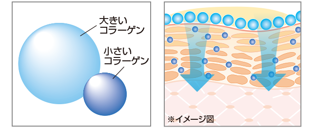 コラーゲン原液 化粧品 スキンケア通販 オージオ Ozio