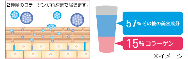 ビタナリッシュコラーゲンリフトBBクリーム｜化粧品・スキンケア通販