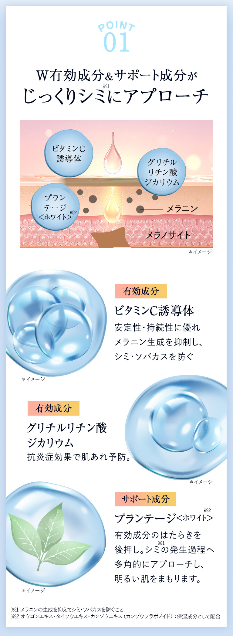 ビタナリッシュホワイトエッセンス＜医薬部外品＞｜化粧品・スキンケア