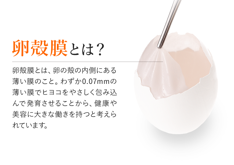 卵殻膜とは？