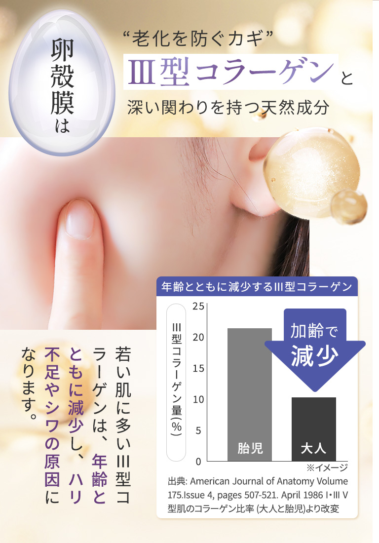 卵殻膜はIII型コラーゲンと深い関わりを持つ天然成分