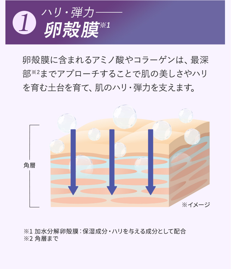 1 ハリ・弾力 卵殻膜