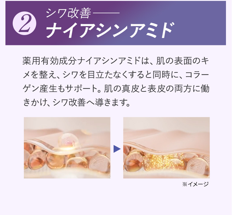 2 シワ改善 ナイアシンアミド