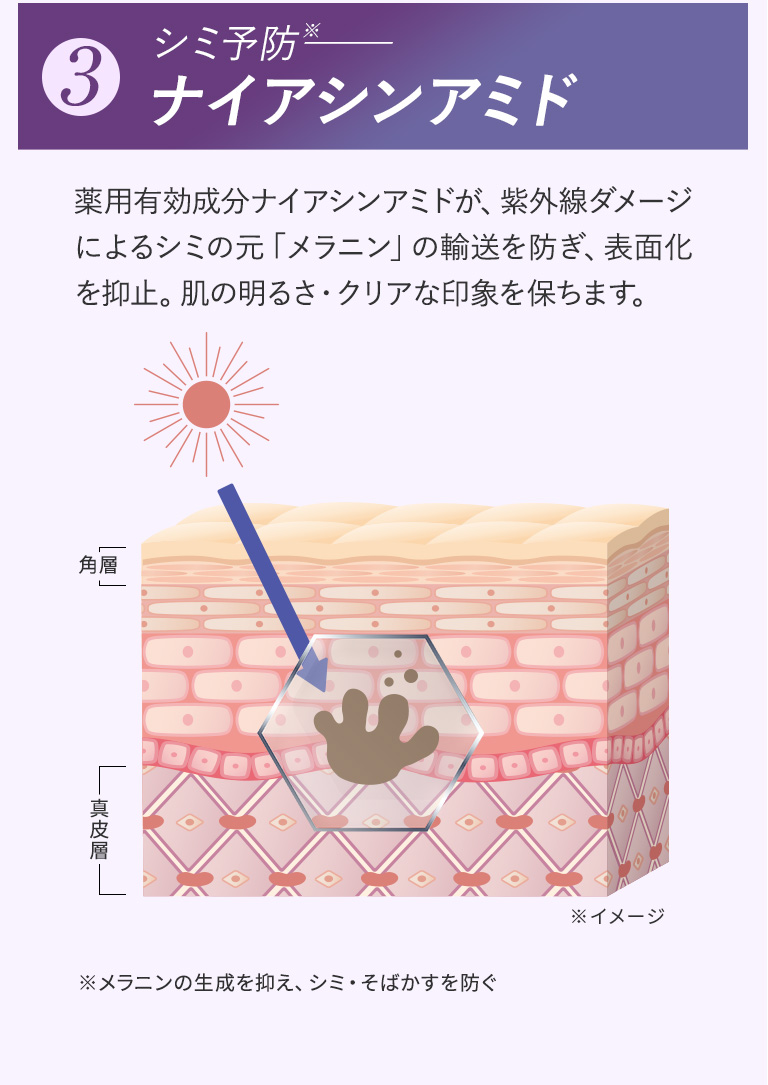 3 シミ予防 ナイアシンアミド