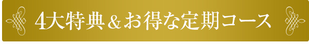 4大特典＆お得な定期コース