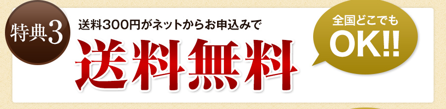 特典3