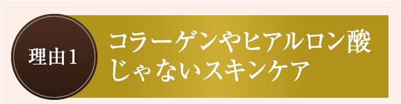 理由1：コラーゲンやヒアルロン酸じゃないスキンケア