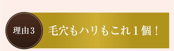 理由3：毛穴もハリもこれ１個！