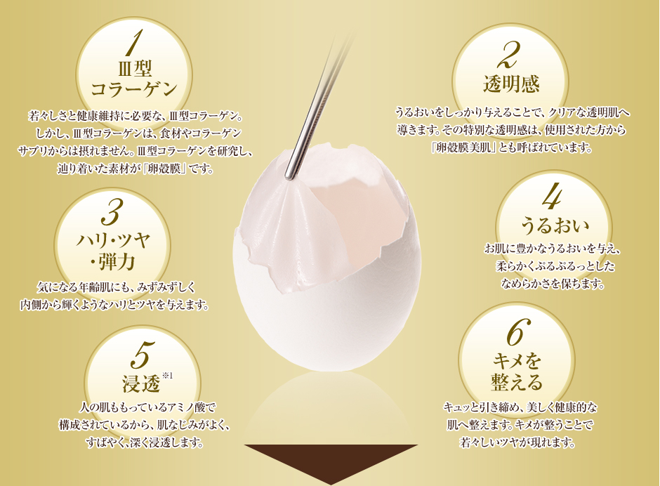 1.Ⅲ型コラーゲン　2.透明感　3.ハリ・ツヤ・弾力　4.うるおい　5.浸透　6.キメを整える