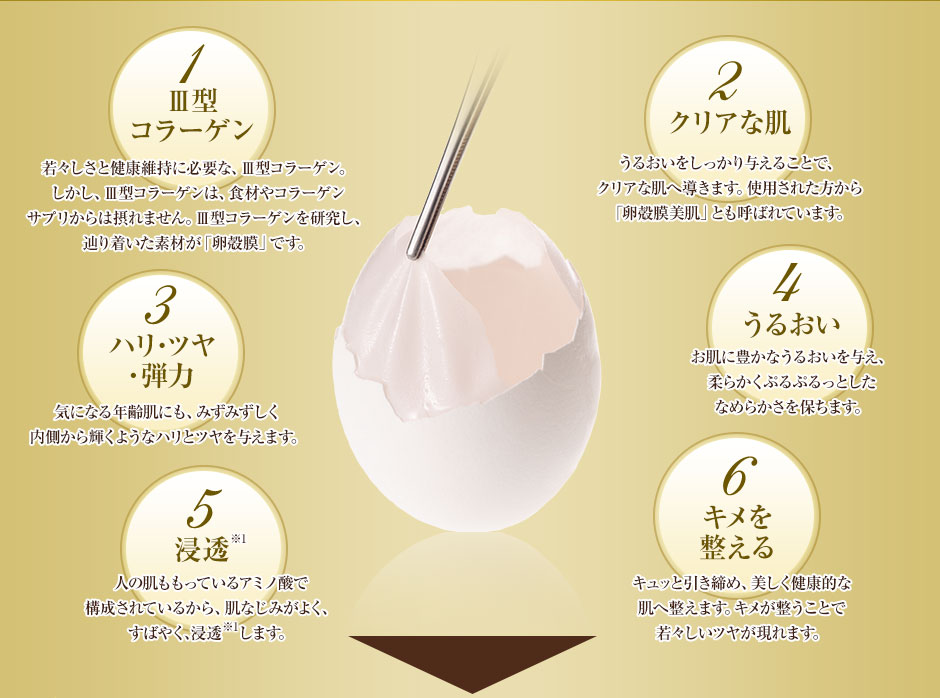 記事番号:39805/アイテムID:13720957の画像