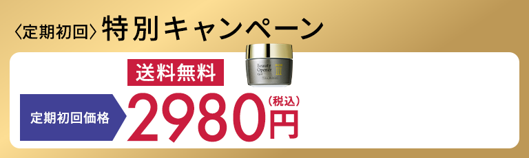 定期初回特別キャンペーン 2980円