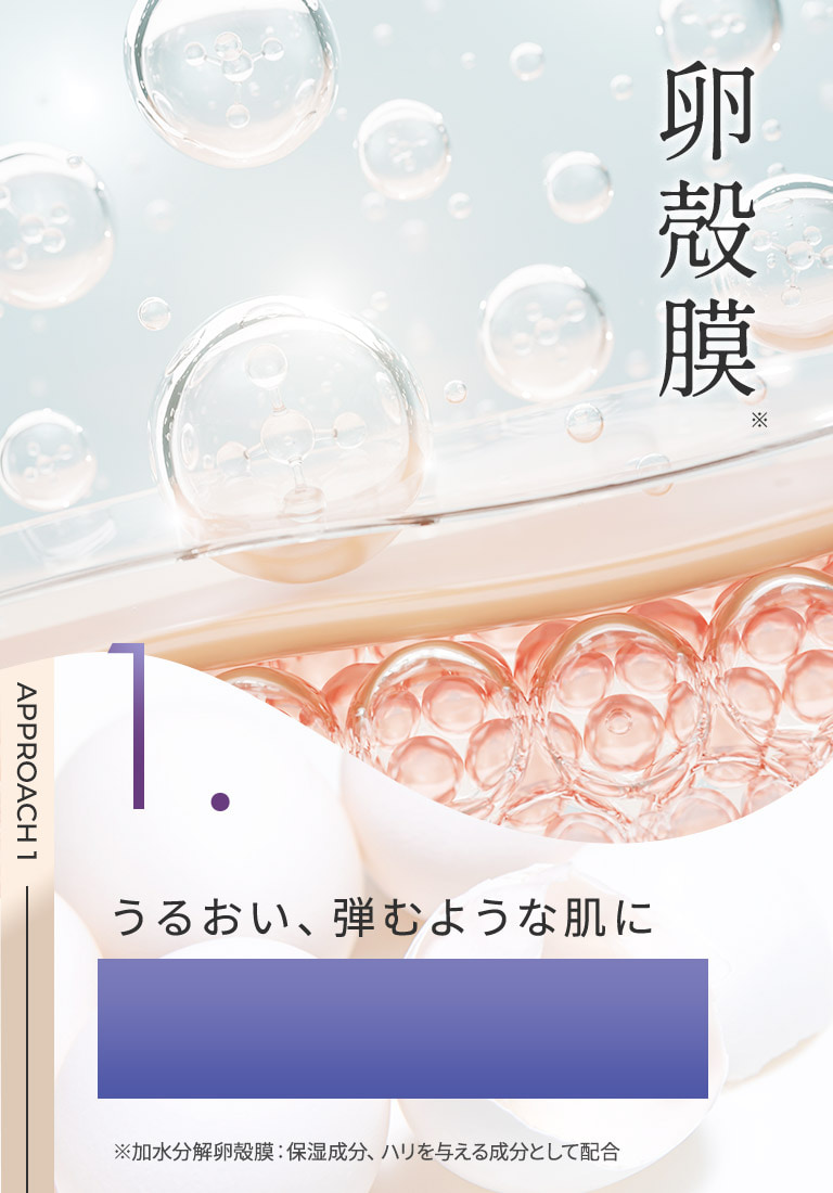卵殻膜