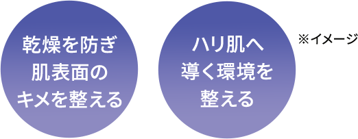 乾燥を防ぎ肌表面のキメを整える ハリ肌へ導く環境を整える