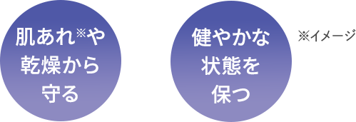 肌あれや乾燥から守る 健やかな状態を保つ