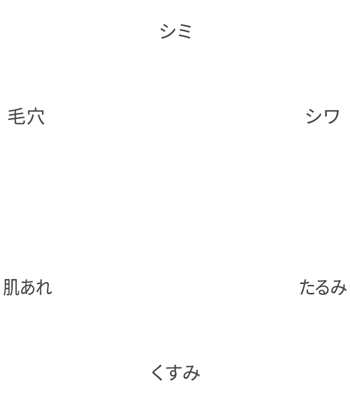 シミ シワ たるみ くすみ 肌あれ 毛穴