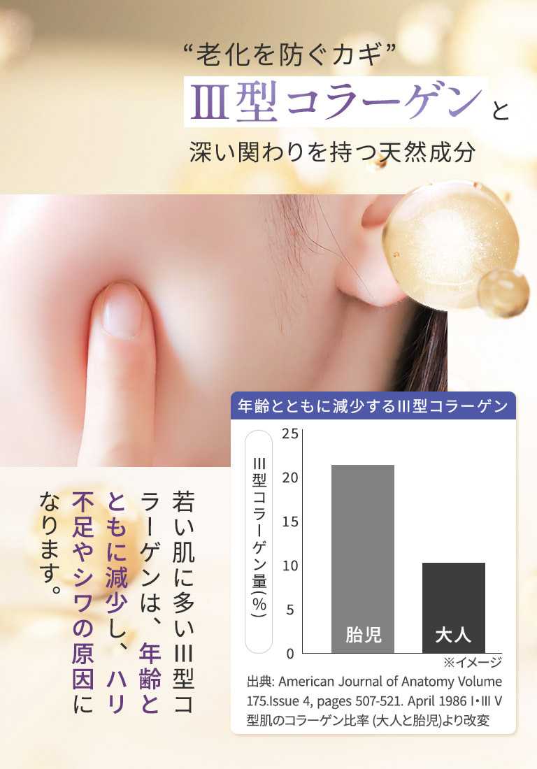 老化を防ぐカギ 3型コラーゲンと深い関わりを持つ天然成分