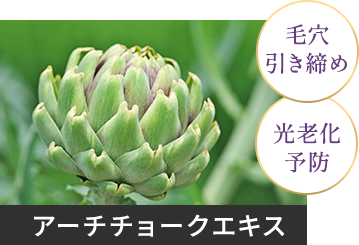 アーチチョークエキス