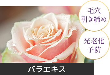 バラエキス