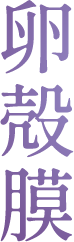 卵殻膜