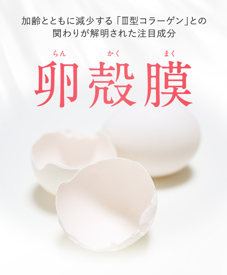 卵殻膜