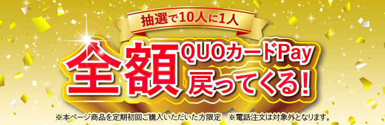 抽選で10人に1人QUOカードPay全額戻ってくる！