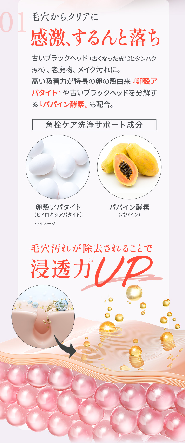 01　毛穴からクリアに 感激、するんと落ち　古いブラックヘッド（古くなった皮脂とタンパク汚れ）、老廃物、メイク汚れに。高い吸着力が特長の卵の殻由来『卵殻アパタイト』や古いブラックヘッドを分解する『パパイン酵素』も配合。　角栓ケア洗浄サポート成分　卵殻アパタイト（ヒドロキシアパタイト）　パパイン酵素（パパイン）　毛穴汚れが除去されることで浸透力UP