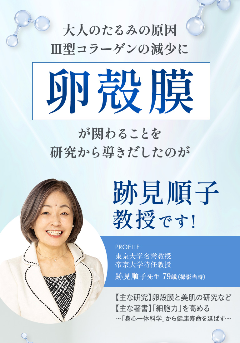 大人のたるみの原因Ⅲ型コラーゲンの減少に卵殻膜が関わることを研究から導き出したのだ、跡見順子教授です！