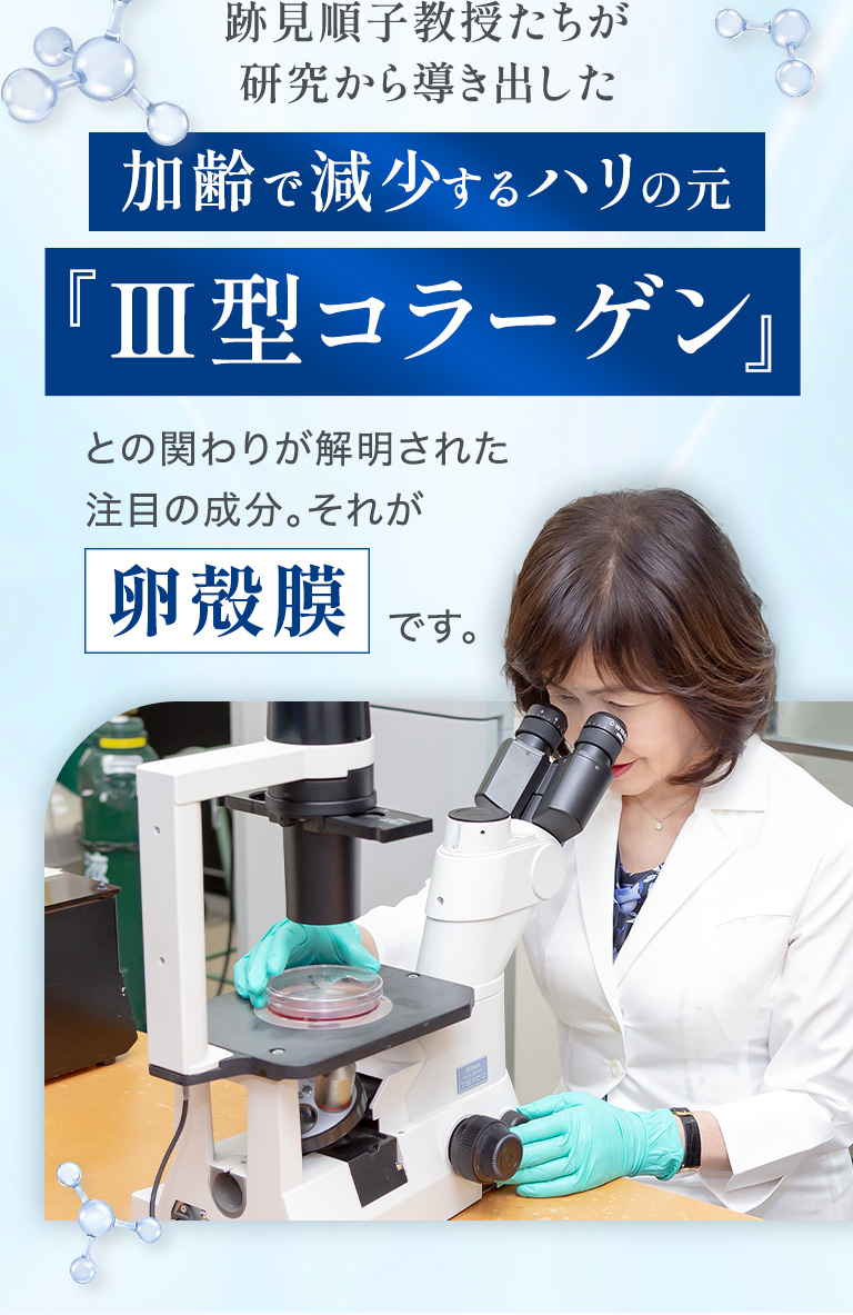 跡見順子教授たちが研究から導き出した加齢で減少するハリの元「Ⅲ型コラーゲン」との関わりが解明された注目の成分。それが卵殻膜です。