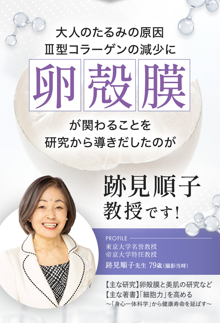 大人のたるみの原因Ⅲ型コラーゲンの減少に卵殻膜が関わることを研究から導き出したのが、跡見順子教授です！