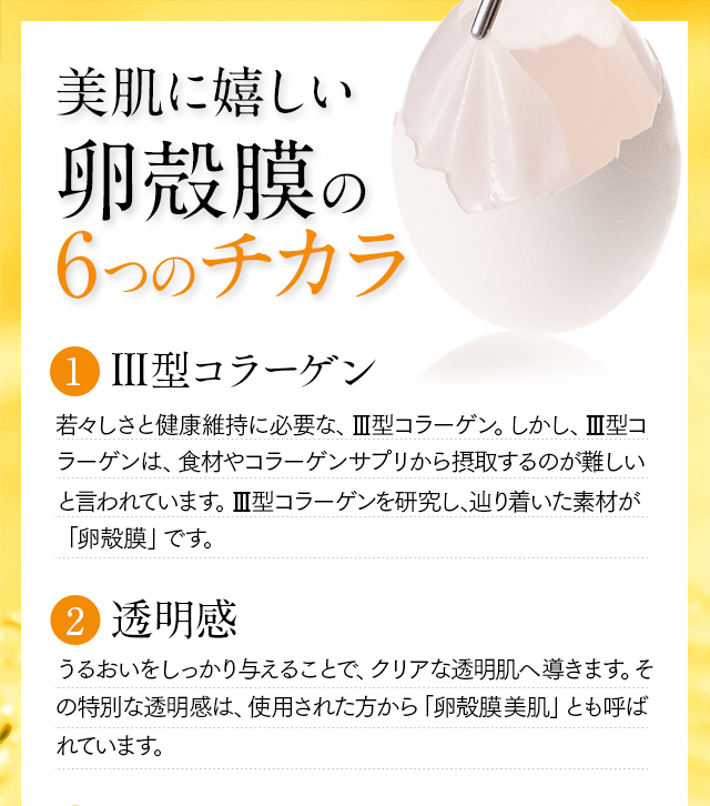 6つのチカラ
