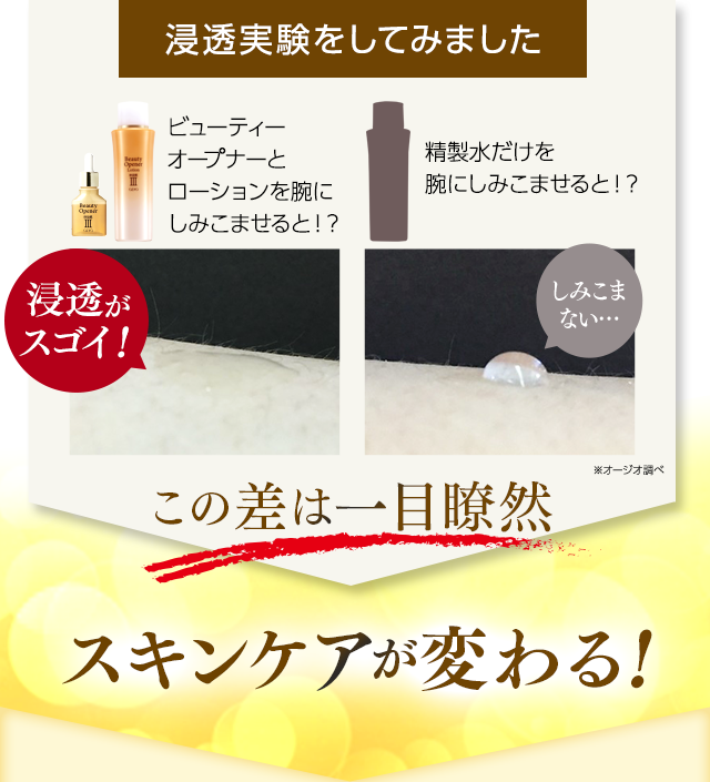 浸透実験をしてみました