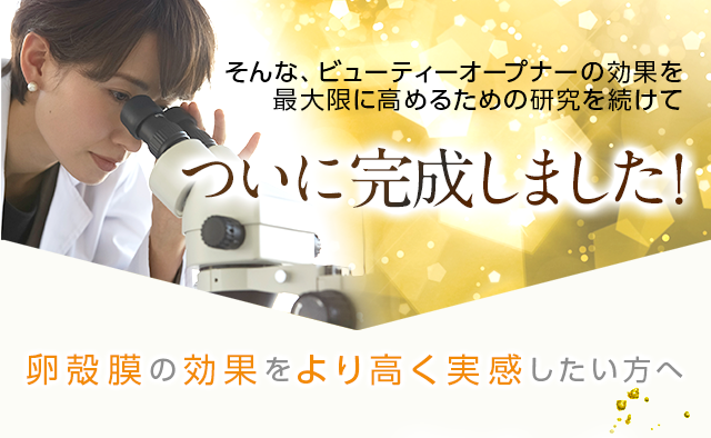 ついに完成しました