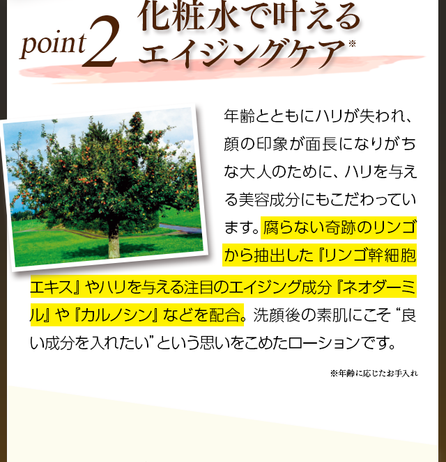 POINT2エイジングケア