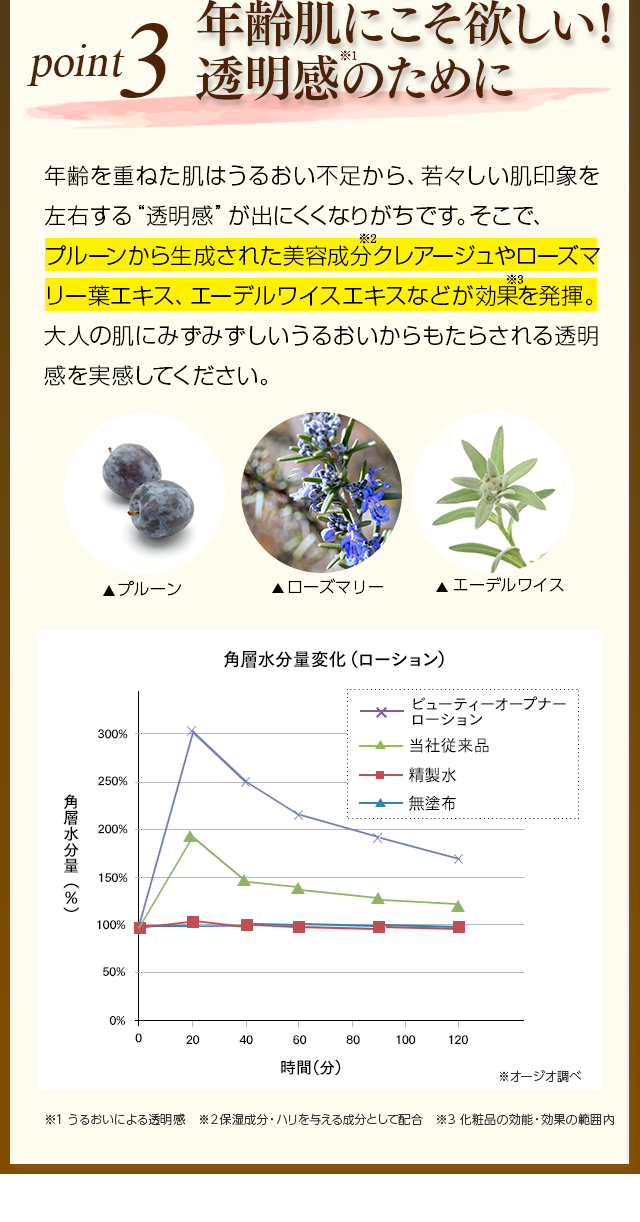 POINT3透明感のために