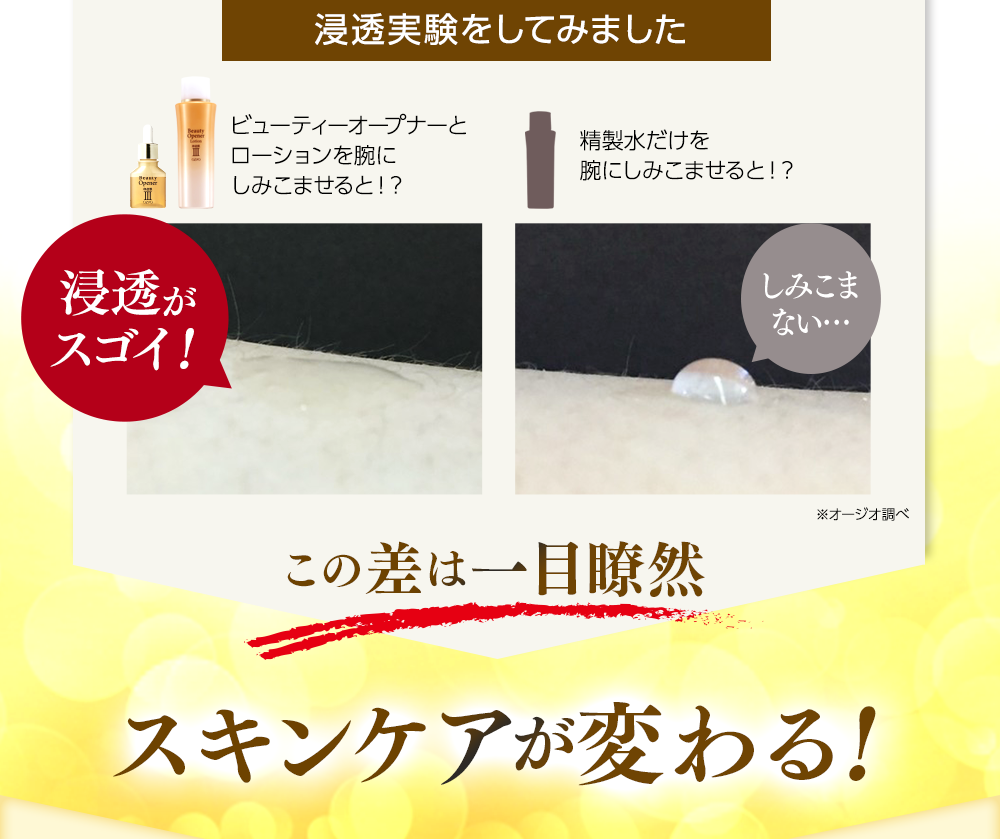 浸透実験をしてみました