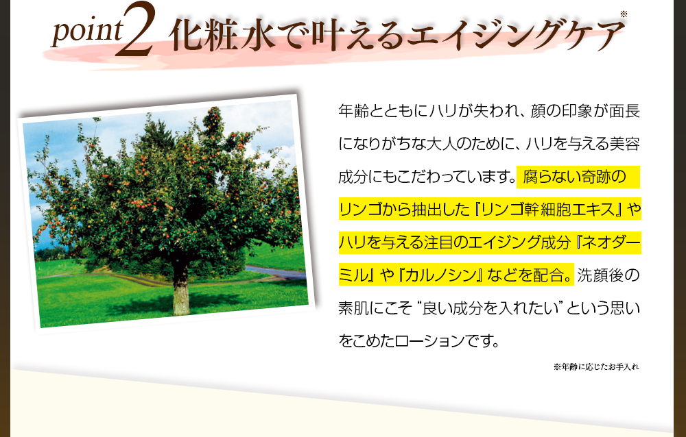 POINT2　化粧水で叶えるエイジングケア