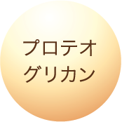 プロテオグリカン