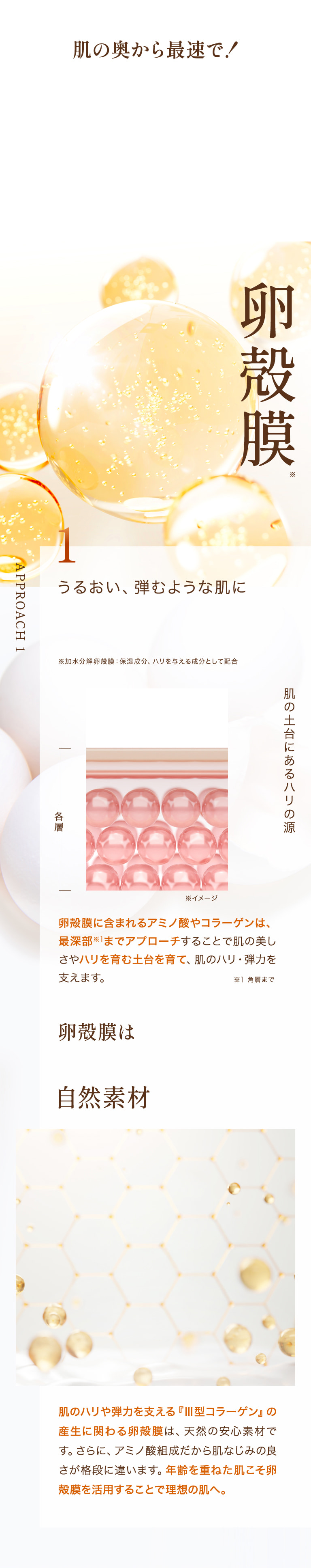 肌の奥まで狙い撃つ 5つの革新アプローチ