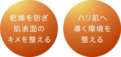 乾燥を防ぎ肌表面のキメを整える ハリ肌へ導く環境を整える