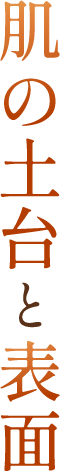 肌の土台と表面