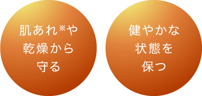 肌あれや乾燥から守る 健やかな状態を保つ