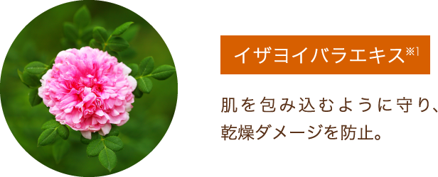 イザヨイバラエキス