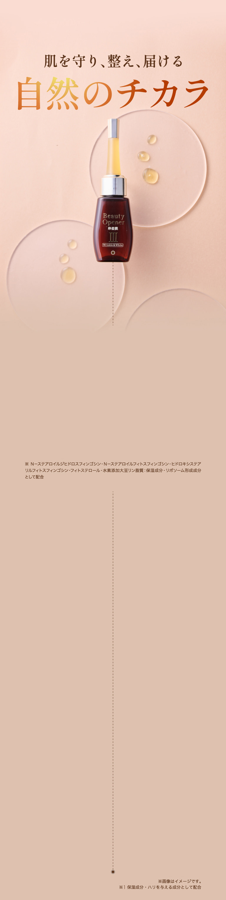 肌を守り、整え、届ける 自然のチカラ