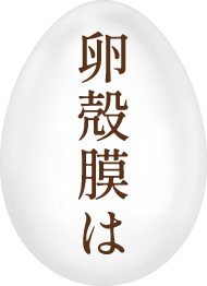 卵殻膜は
