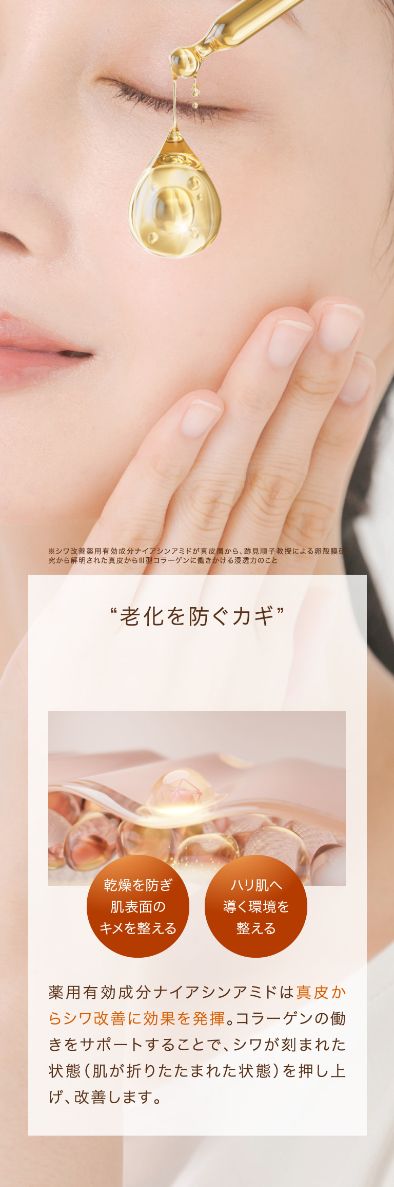 老化を防ぐカギ