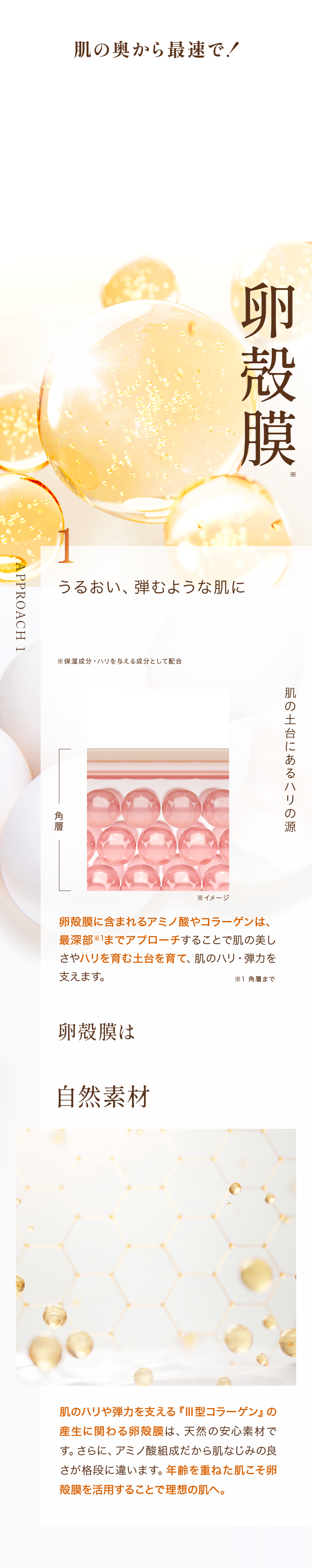 肌の奥まで狙い撃つ 5つの革新アプローチ